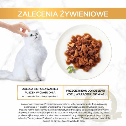 Purina Gourmet Gold kaczka/indyk w sosie 85g Purina Gourmet Gold kaczka/indyk w sosie 85g