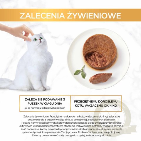 Purina Gourmet Gold pasztet z królikiem 85g Purina Gourmet Gold pasztet z królikiem 85g
