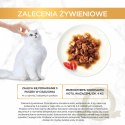 Purina Gourmet Gold z wołowiną i kurczakiem w sosie z pomidorami 85g