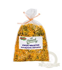 ALEGIA Kwiat Nagietka 60g