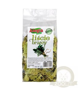 ALEGIA Liście Brzozy 40g