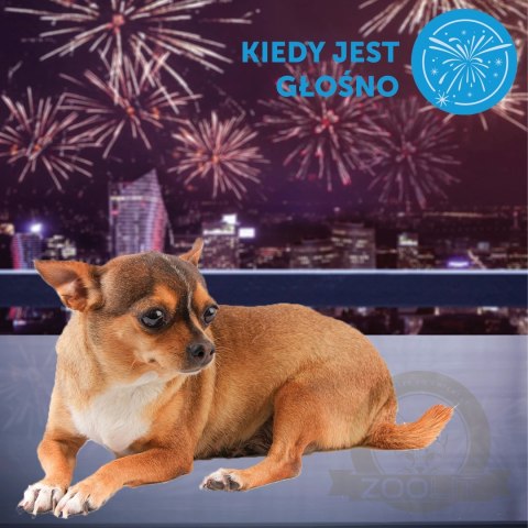 Ceva Animal Health Polska Sp. Z O.o. Adaptil Dyfuzor 48ml Ceva Animal Health Polska Sp. Z O.o. Adaptil Dyfuzor 48ml