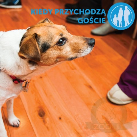 Ceva Animal Health Polska Sp. Z O.o. Adaptil Dyfuzor 48ml Ceva Animal Health Polska Sp. Z O.o. Adaptil Dyfuzor 48ml