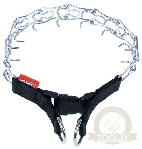 Champion Kolczatka [3T]