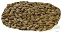 Purina Pro Plan Medium & Large 7+ Sensitive Optiderma Łosoś I Ryż 14kg