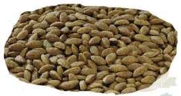 Purina Pro Plan Medium & Large 7+ Sensitive Optiderma Łosoś I Ryż 14kg
