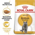 ROYAL CANIN British Shorthair Adult 400g