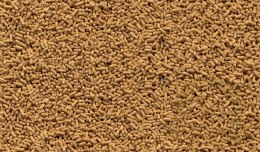 Tetra Pond Sticks 4l