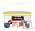 Versele-Laga NutriBird A19 Pokarm Do Ręcznego Karmienia Piskląt 3kg