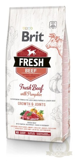 Brit Fresh Beef & Pumpkin Puppy Large Growth & Joints 12kg