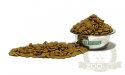 Nature's Protection Extra Salmon 2kg