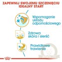 ROYAL CANIN Shih Tzu Puppy 500g