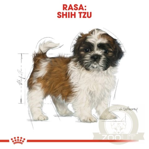 ROYAL CANIN Shih Tzu Puppy 500g ROYAL CANIN Shih Tzu Puppy 500g