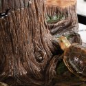 Repti-Zoo Turtle Filter Tree - wyspa i filtr wody dla żółwi