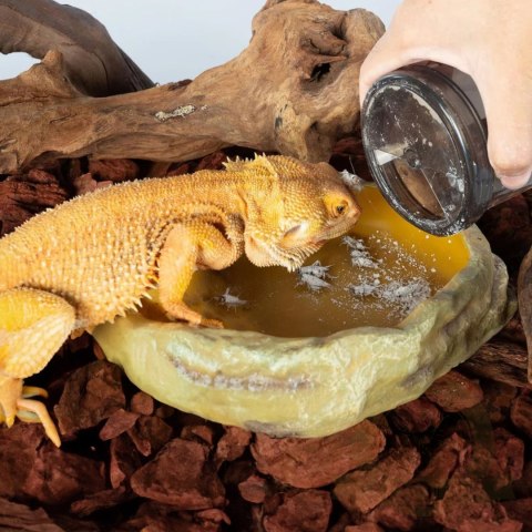 Repti-Zoo Vita-Calcium Shaker - kubek do obsypywania owadów karmowych Repti-Zoo Vita-Calcium Shaker - kubek do obsypywania owadów karmowych