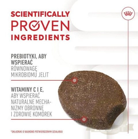 Royal Canin Immunity & Digestion Chews Puppy Supplements 100g Royal Canin Immunity & Digestion Chews Puppy Supplements 100g