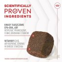 Royal Canin Joint & Ageing Chews Adult Supplements 240g