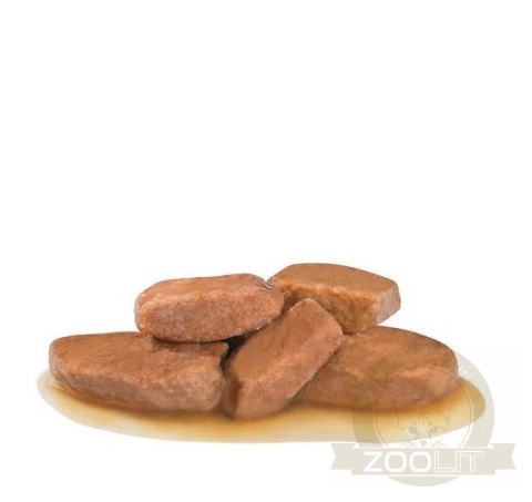 Royal Canin Veterinary Diet Canine Early Renal w sosie saszetka 100g Royal Canin Veterinary Diet Canine Early Renal w sosie saszetka 100g