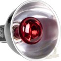 Terrario Biosphere Light - oprawka na żarówki grzewcze