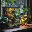 Terrario Oasis Verde 5 - terrarium 20x20x30cm