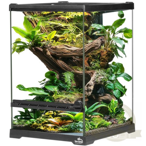 Terrario Oasis Verde 5 - terrarium 20x20x30cm Terrario Oasis Verde 5 - terrarium 20x20x30cm