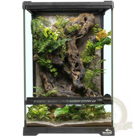 Terrario Oasis Verde 5 - terrarium 20x20x30cm Terrario Oasis Verde 5 - terrarium 20x20x30cm