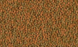 Tetra Wafer Mix 100ml