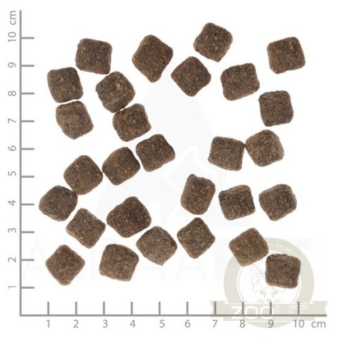 Wolfsblut Dog Dark Forest Small - dziczyzna i bataty 2kg Wolfsblut Dog Dark Forest Small - dziczyzna i bataty 2kg