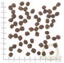 Wolfsblut Dog Range Lamb Adult Small - jagnięcina i ryż 2kg
