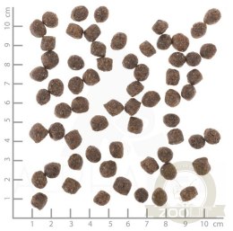 Wolfsblut Dog Range Lamb Adult Small - jagnięcina i ryż 2kg