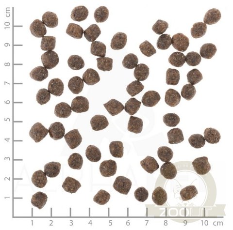 Wolfsblut Dog Range Lamb Adult Small - jagnięcina i ryż 2kg Wolfsblut Dog Range Lamb Adult Small - jagnięcina i ryż 2kg