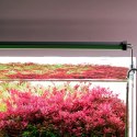 Chihiros B-Series B45 LED Light with Commander - lampa led sterowana aplikacją 45-65cm