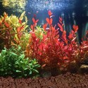 Kruger Meier Crimson Ember Lava 10-20 mm - Lawowe podłoże strukturalne 2 kg