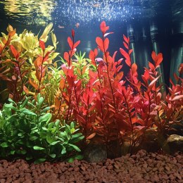 Kruger Meier Crimson Ember Lava 10-20 mm - Lawowe podłoże strukturalne 2 kg