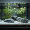 Kruger Meier Frosted Azure 4-7 mm - Żwirek akwarystyczny 2 kg