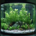 Kruger Meier Panda Frost 2-5 mm - Żwirek akwarystyczny 2 kg