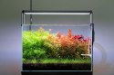 NEO Soil Plant 8l - podłoże do akwarium roślinnego