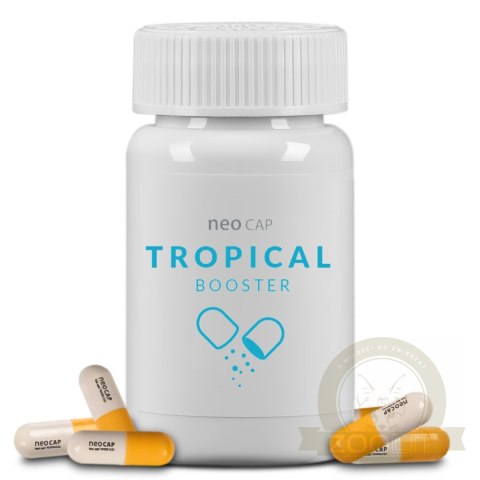 Neo Cap Tropical Booster - 20 kapsułek pożywka dla bakterii i czyszczenie wody Neo Cap Tropical Booster - 20 kapsułek pożywka dla bakterii i czyszczenie wody