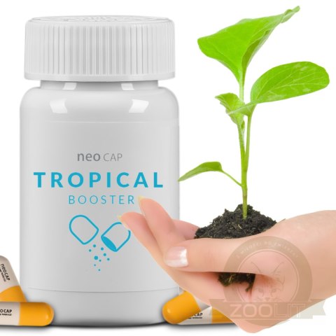 Neo Cap Tropical Booster - 20 kapsułek pożywka dla bakterii i czyszczenie wody Neo Cap Tropical Booster - 20 kapsułek pożywka dla bakterii i czyszczenie wody