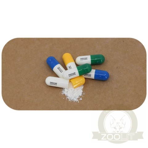 Neo Cap Tropical Booster - 20 kapsułek pożywka dla bakterii i czyszczenie wody Neo Cap Tropical Booster - 20 kapsułek pożywka dla bakterii i czyszczenie wody