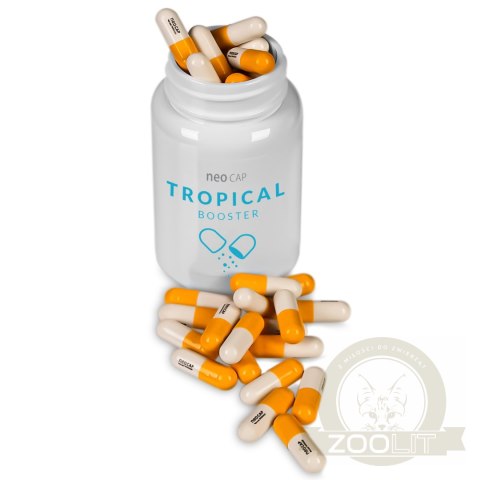 Neo Cap Tropical Booster - 20 kapsułek pożywka dla bakterii i czyszczenie wody Neo Cap Tropical Booster - 20 kapsułek pożywka dla bakterii i czyszczenie wody