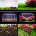 Neo Soil Plant Normal 3l - podłoże do akwarium roślinnego