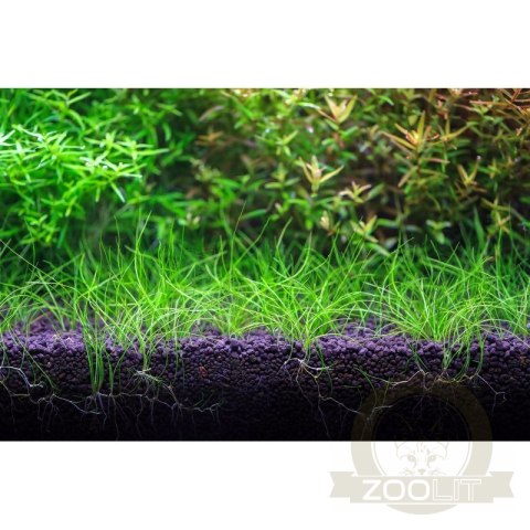 Neo Soil Plant Normal 3l - podłoże do akwarium roślinnego Neo Soil Plant Normal 3l - podłoże do akwarium roślinnego