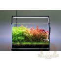 Neo Soil Plant Normal 3l - podłoże do akwarium roślinnego