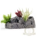 Terrario LavaCave XL - jaskinia miska w skale 45x23x20cm