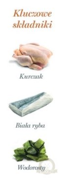Amanova Cat Kitten Chicken & Fish - kurczak i biała ryba saszetka 85g [P09]