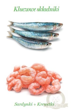 Amanova Cat Sardine & Shrimps - sardynki i krewetki w galaretce puszka 70g [15]