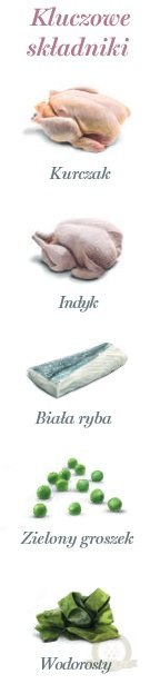 Amanova Cat Sterilised Fish & Turkey - biała ryba i indyk saszetka 85g [P12]