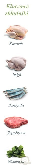 Amanova Cat Sterilised Lamb & Sardines - jagnięcina i sardynki saszetka 85g [P13]