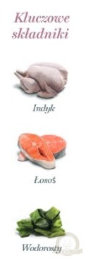 Amanova Cat Tasty Salmon & Turkey - łosoś i indyk saszetka 85g [P11]